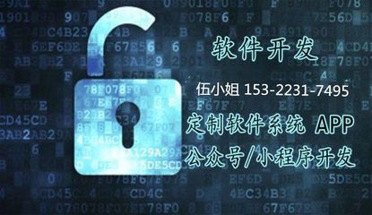 区块链技术软件开发 构建数字未来的基石