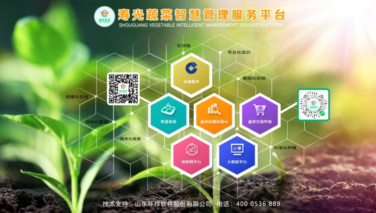 区块链技术赋能智慧农业高质量发展的路径与展望